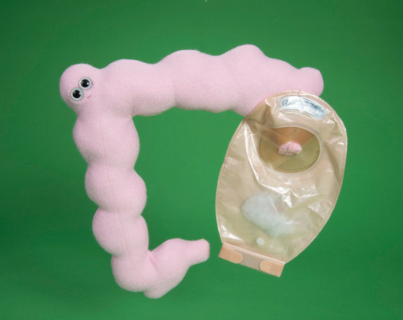 Plush pink colon after ostomoy surgery