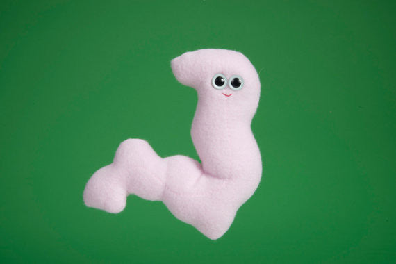 Plush pink sigmoid colon