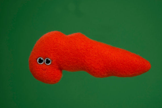 Plush red sugar pancreas