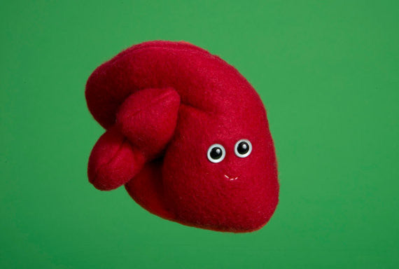 Red plush heart