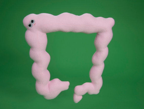 Pink plush colon