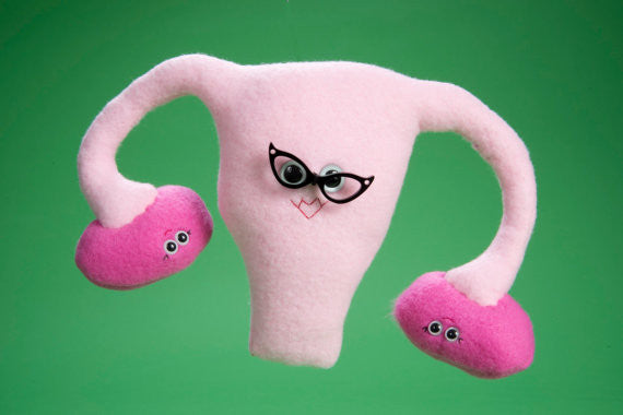 Plush pink uterus and ovaries