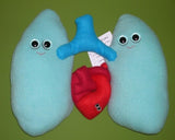 Blue plush lungs and red plush heart