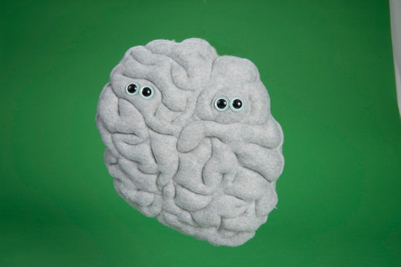 Grey plush brain