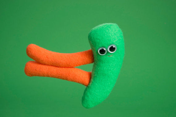 Green and orange plush spleen