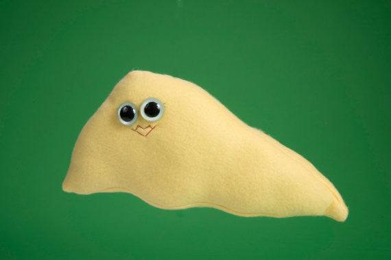 Yellow plush liver